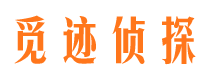 通川市调查公司